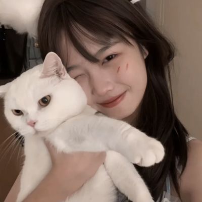 王牌坦克连百度版